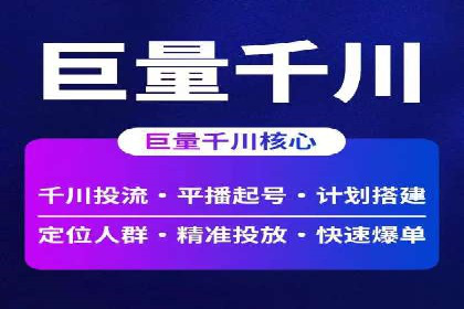 谷歌竞价广告与SEO结合的营销案例解析